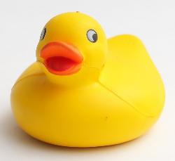 Buy PU DUCK Stress Relievers  Promotional Items Gifts And Giveaways Products In Pakistan. Choose From Wide Range Of  Pu Duck, Stress Relievers, Promotional Items, Gifts And Giveaways And Much In Karachi, Lahore, Islamabad, Faisalabad, Rawalpindi, Multan, Gujranwala, Hyderabad, Peshawar And Quetta 